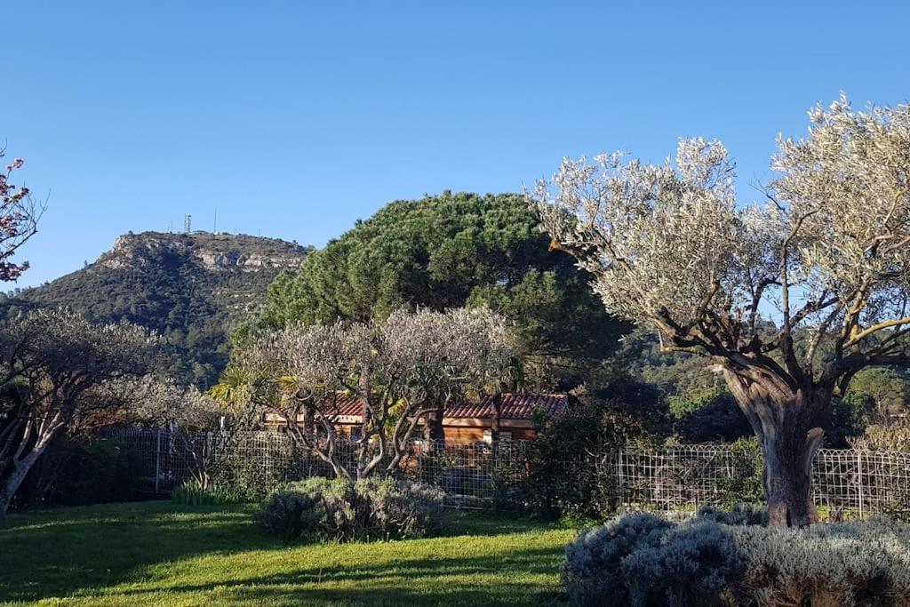 Sous Le Grand Pin Gites Eden En Cevennes 昂迪兹 外观 照片