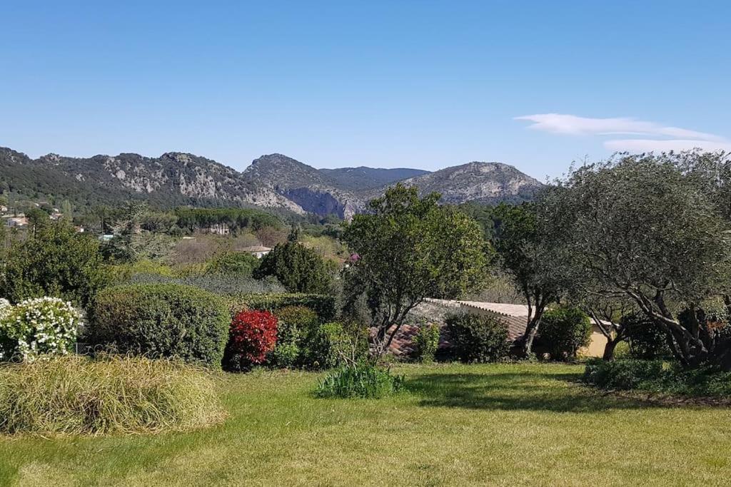 Sous Le Grand Pin Gites Eden En Cevennes 昂迪兹 外观 照片
